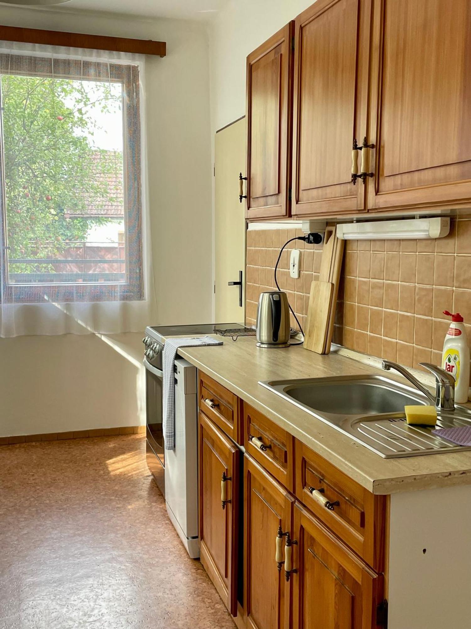 Apartment S Terasou Lysa Лиса-над-Лабем Экстерьер фото
